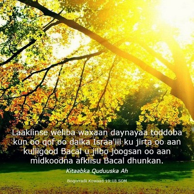 Picture 03 - Boqorradii Kowaad 19:18 SOM - Laakiinse weliba waxaan daynayaa toddoba kun oo - Bible Verse Picture
