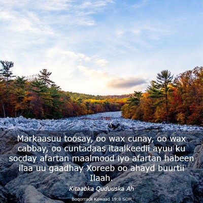 Picture 03 - Boqorradii Kowaad 19:8 SOM - Markaasuu toosay, oo wax cunay, oo wax cabbay, oo - Bible Verse Picture