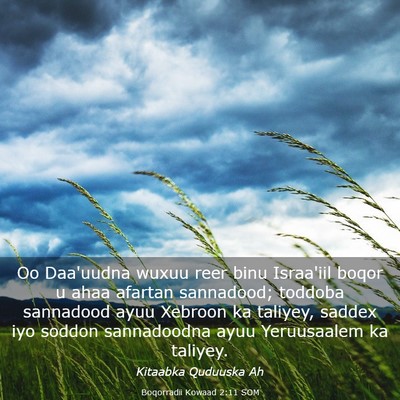Picture 03 - Boqorradii Kowaad 2:11 SOM - Oo Daa'uudna wuxuu reer binu Israa'iil boqor u - Bible Verse Picture
