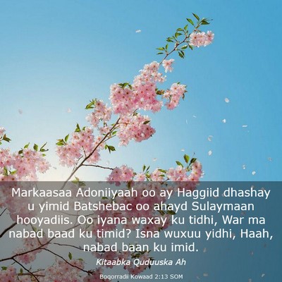 Picture 03 - Boqorradii Kowaad 2:13 SOM - Markaasaa Adoniiyaah oo ay Haggiid dhashay u - Bible Verse Picture