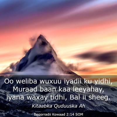 Picture 03 - Boqorradii Kowaad 2:14 SOM - Oo weliba wuxuu iyadii ku yidhi, Muraad baan kaa - Bible Verse Picture