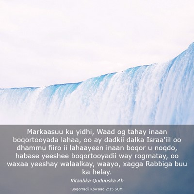 Picture 03 - Boqorradii Kowaad 2:15 SOM - Markaasuu ku yidhi, Waad og tahay inaan - Bible Verse Picture