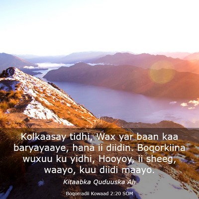 Picture 03 - Boqorradii Kowaad 2:20 SOM - Kolkaasay tidhi, Wax yar baan kaa baryayaaye, - Bible Verse Picture