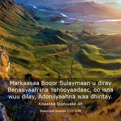 Picture 03 - Boqorradii Kowaad 2:25 SOM - Markaasaa Boqor Sulaymaan u diray Benaayaah ina - Bible Verse Picture