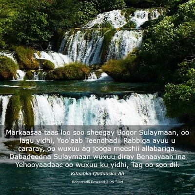 Picture 03 - Boqorradii Kowaad 2:29 SOM - Markaasaa taas loo soo sheegay Boqor Sulaymaan, - Bible Verse Picture