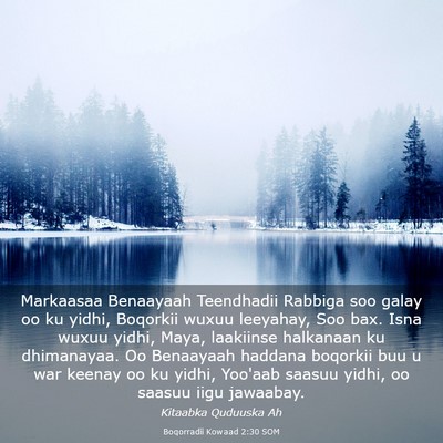 Picture 03 - Boqorradii Kowaad 2:30 SOM - Markaasaa Benaayaah Teendhadii Rabbiga soo galay - Bible Verse Picture