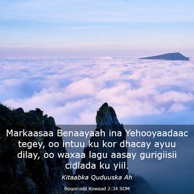 Picture 03 - Boqorradii Kowaad 2:34 SOM - Markaasaa Benaayaah ina Yehooyaadaac tegey, oo - Bible Verse Picture