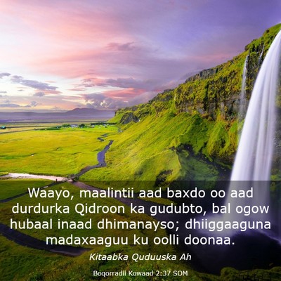 Picture 03 - Boqorradii Kowaad 2:37 SOM - Waayo, maalintii aad baxdo oo aad durdurka - Bible Verse Picture
