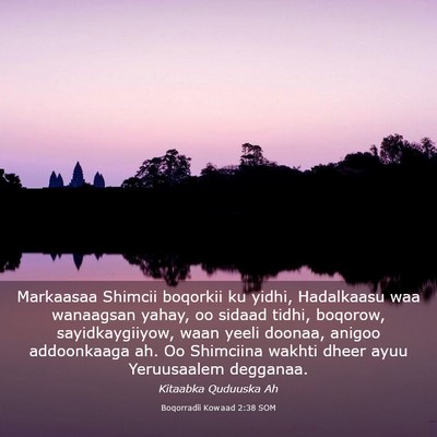 Picture 03 - Boqorradii Kowaad 2:38 SOM - Markaasaa Shimcii boqorkii ku yidhi, Hadalkaasu - Bible Verse Picture