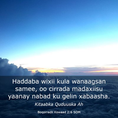 Picture 03 - Boqorradii Kowaad 2:6 SOM - Haddaba wixii kula wanaagsan samee, oo cirrada - Bible Verse Picture