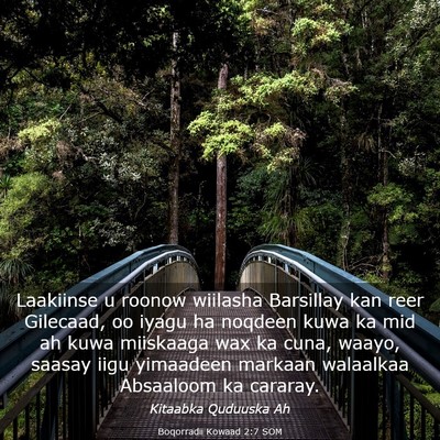 Picture 03 - Boqorradii Kowaad 2:7 SOM - Laakiinse u roonow wiilasha Barsillay kan reer - Bible Verse Picture