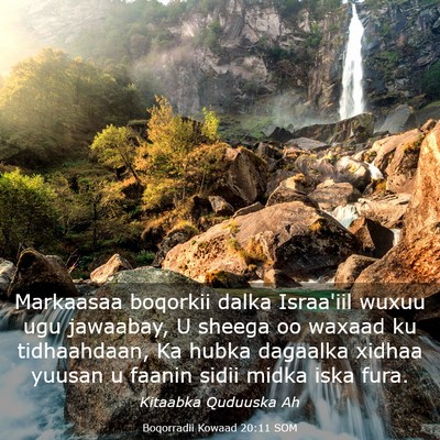 Picture 03 - Boqorradii Kowaad 20:11 SOM - Markaasaa boqorkii dalka Israa'iil wuxuu ugu - Bible Verse Picture