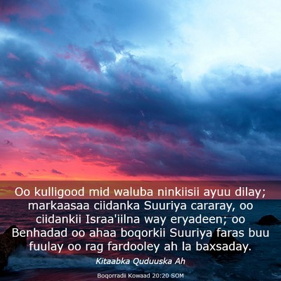 Picture 03 - Boqorradii Kowaad 20:20 SOM - Oo kulligood mid waluba ninkiisii ayuu dilay; - Bible Verse Picture