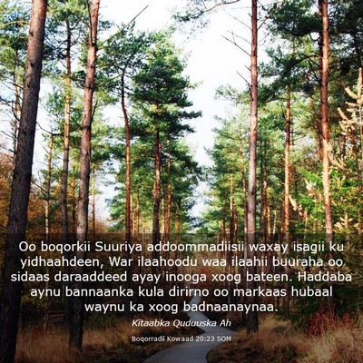 Picture 03 - Boqorradii Kowaad 20:23 SOM - Oo boqorkii Suuriya addoommadiisii waxay isagii - Bible Verse Picture