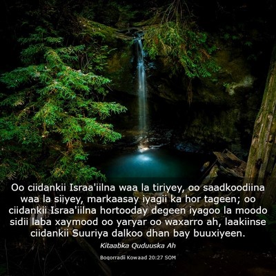 Picture 03 - Boqorradii Kowaad 20:27 SOM - Oo ciidankii Israa'iilna waa la tiriyey, oo - Bible Verse Picture
