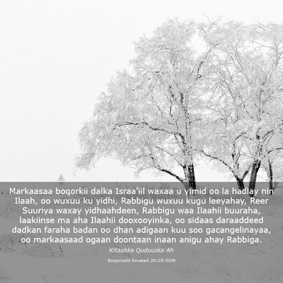 Picture 03 - Boqorradii Kowaad 20:28 SOM - Markaasaa boqorkii dalka Israa'iil waxaa u yimid - Bible Verse Picture