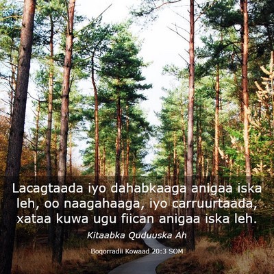 Picture 03 - Boqorradii Kowaad 20:3 SOM - Lacagtaada iyo dahabkaaga anigaa iska leh, oo - Bible Verse Picture