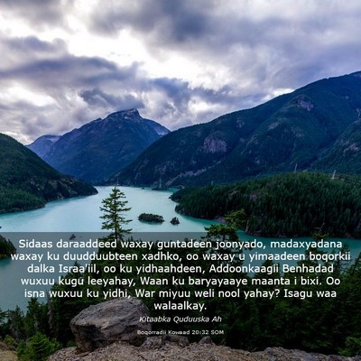 Picture 03 - Boqorradii Kowaad 20:32 SOM - Sidaas daraaddeed waxay guntadeen joonyado, - Bible Verse Picture
