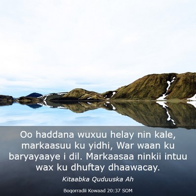 Picture 03 - Boqorradii Kowaad 20:37 SOM - Oo haddana wuxuu helay nin kale, markaasuu ku - Bible Verse Picture