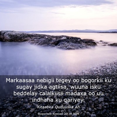 Picture 03 - Boqorradii Kowaad 20:38 SOM - Markaasaa nebigii tegey oo boqorkii ku sugay - Bible Verse Picture