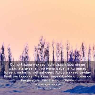 Picture 03 - Boqorradii Kowaad 21:10 SOM - Oo hortiisana waxaad fadhiisisaan laba nin oo - Bible Verse Picture