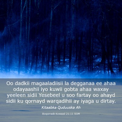 Picture 03 - Boqorradii Kowaad 21:11 SOM - Oo dadkii magaaladiisii la degganaa ee ahaa - Bible Verse Picture