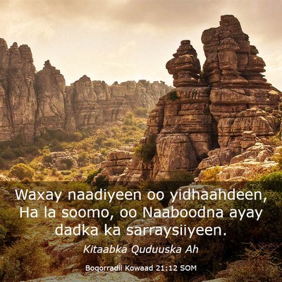 Picture 03 - Boqorradii Kowaad 21:12 SOM - Waxay naadiyeen oo yidhaahdeen, Ha la soomo, oo - Bible Verse Picture