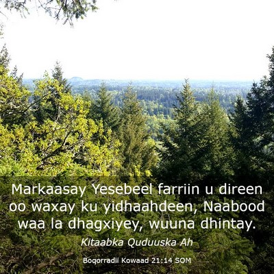 Picture 03 - Boqorradii Kowaad 21:14 SOM - Markaasay Yesebeel farriin u direen oo waxay ku - Bible Verse Picture
