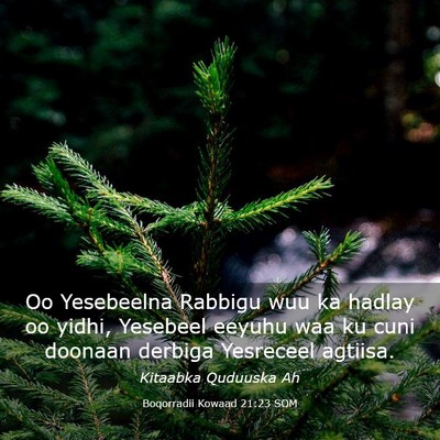 Picture 03 - Boqorradii Kowaad 21:23 SOM - Oo Yesebeelna Rabbigu wuu ka hadlay oo yidhi, - Bible Verse Picture