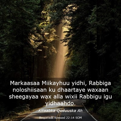 Picture 03 - Boqorradii Kowaad 22:14 SOM - Markaasaa Miikayhuu yidhi, Rabbiga noloshiisaan - Bible Verse Picture