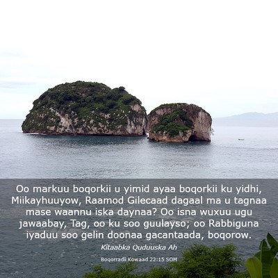 Picture 03 - Boqorradii Kowaad 22:15 SOM - Oo markuu boqorkii u yimid ayaa boqorkii ku - Bible Verse Picture