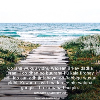 Picture 03 - Boqorradii Kowaad 22:17 SOM - Oo isna wuxuu yidhi, Waxaan arkay dadka Israa'iil - Bible Verse Picture
