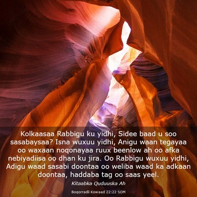 Picture 03 - Boqorradii Kowaad 22:22 SOM - Kolkaasaa Rabbigu ku yidhi, Sidee baad u soo - Bible Verse Picture