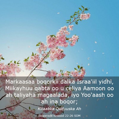 Picture 03 - Boqorradii Kowaad 22:26 SOM - Markaasaa boqorkii dalka Israa'iil yidhi, - Bible Verse Picture