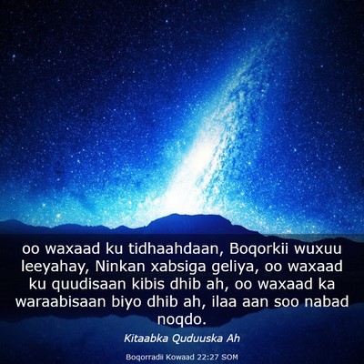 Picture 03 - Boqorradii Kowaad 22:27 SOM - oo waxaad ku tidhaahdaan, Boqorkii wuxuu - Bible Verse Picture