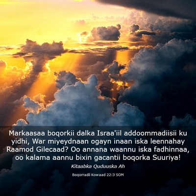 Picture 03 - Boqorradii Kowaad 22:3 SOM - Markaasaa boqorkii dalka Israa'iil addoommadiisii - Bible Verse Picture