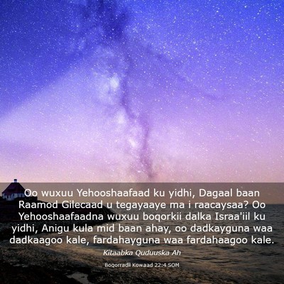 Picture 03 - Boqorradii Kowaad 22:4 SOM - Oo wuxuu Yehooshaafaad ku yidhi, Dagaal baan - Bible Verse Picture