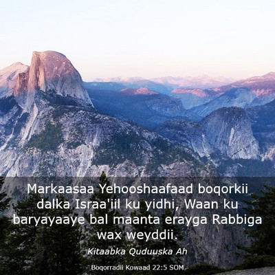Picture 03 - Boqorradii Kowaad 22:5 SOM - Markaasaa Yehooshaafaad boqorkii dalka Israa'iil - Bible Verse Picture