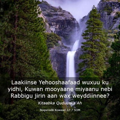 Picture 03 - Boqorradii Kowaad 22:7 SOM - Laakiinse Yehooshaafaad wuxuu ku yidhi, Kuwan - Bible Verse Picture