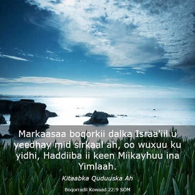 Picture 03 - Boqorradii Kowaad 22:9 SOM - Markaasaa boqorkii dalka Israa'iil u yeedhay mid - Bible Verse Picture