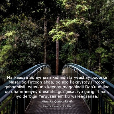 Picture 03 - Boqorradii Kowaad 3:1 SOM - Markaasaa Sulaymaan xidhiidh la yeeshay boqorkii - Bible Verse Picture