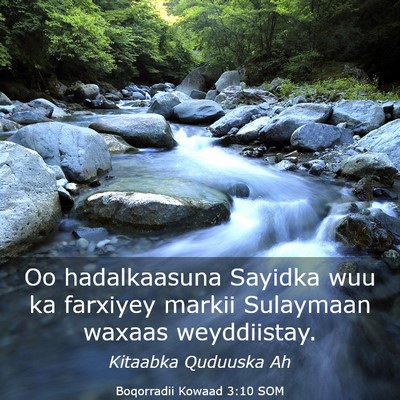 Picture 03 - Boqorradii Kowaad 3:10 SOM - Oo hadalkaasuna Sayidka wuu ka farxiyey markii - Bible Verse Picture