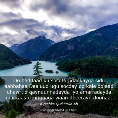 Picture 03 - Boqorradii Kowaad 3:14 SOM - Oo haddaad ku socoto jidadkayga sidii aabbahaa - Bible Verse Picture
