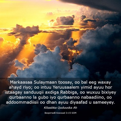 Picture 03 - Boqorradii Kowaad 3:15 SOM - Markaasaa Sulaymaan toosay, oo bal eeg waxay - Bible Verse Picture