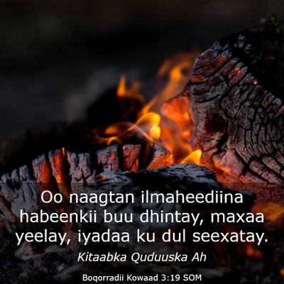 Picture 03 - Boqorradii Kowaad 3:19 SOM - Oo naagtan ilmaheediina habeenkii buu dhintay, - Bible Verse Picture