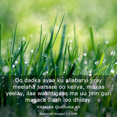 Picture 03 - Boqorradii Kowaad 3:2 SOM - Oo dadka ayaa ku allabaryi jiray meelaha sarsare - Bible Verse Picture