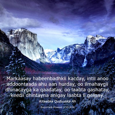 Picture 03 - Boqorradii Kowaad 3:20 SOM - Markaasay habeenbadhkii kacday, intii anoo - Bible Verse Picture
