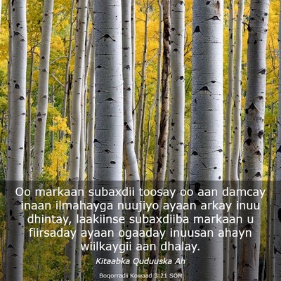 Picture 03 - Boqorradii Kowaad 3:21 SOM - Oo markaan subaxdii toosay oo aan damcay inaan - Bible Verse Picture