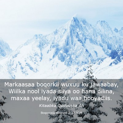 Picture 03 - Boqorradii Kowaad 3:27 SOM - Markaasaa boqorkii wuxuu ku jawaabay, Wiilka nool - Bible Verse Picture