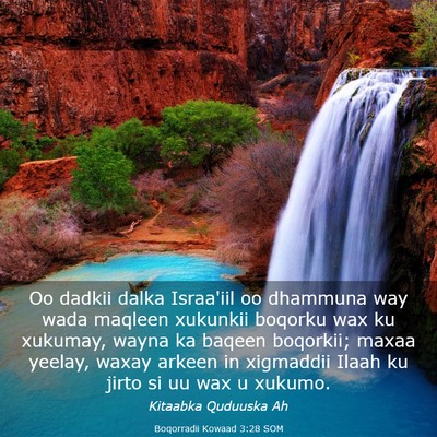 Picture 03 - Boqorradii Kowaad 3:28 SOM - Oo dadkii dalka Israa'iil oo dhammuna way wada - Bible Verse Picture